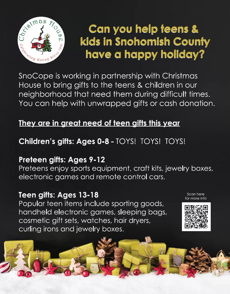 Christmas house needs